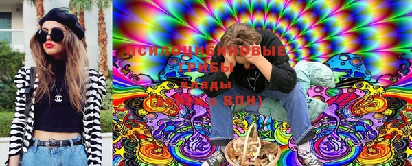эйфоретик Аркадак