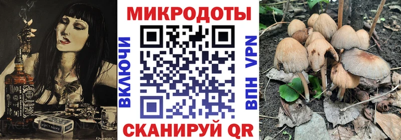 Галлюциногенные грибы Psilocybe  Купить  Беслан 